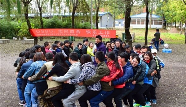 公司拓展的心得体会