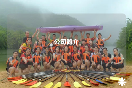 公司简介