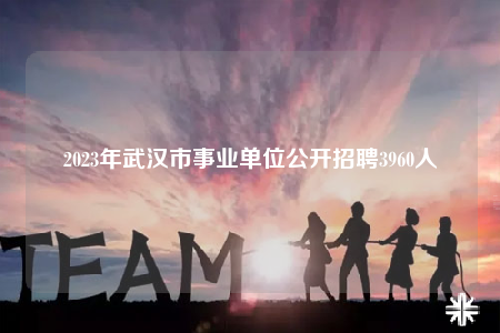 2023年武汉市事业单位公开招聘3960人
