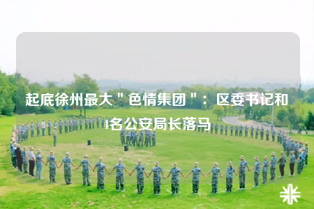 起底徐州最大＂色情集团＂：区委书记和4名公安局长落马