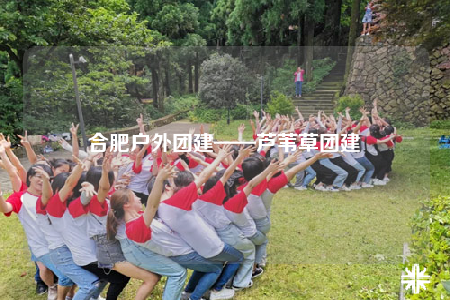 合肥户外团建——芦苇草团建
