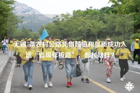 无锡7条农村公路凭借颜值和品质成功入选“省级样板路”，都长啥样？