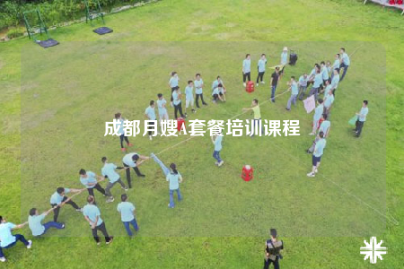 成都月嫂A套餐培训课程