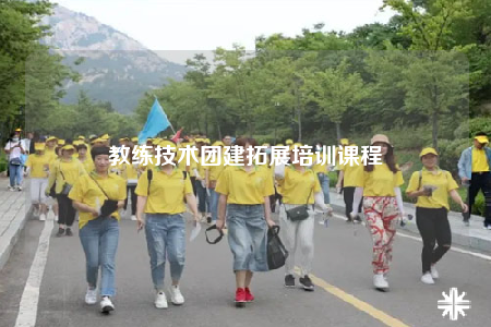 教练技术团建拓展培训课程