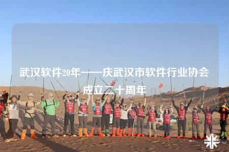 武汉软件20年——庆武汉市软件行业协会成立二十周年