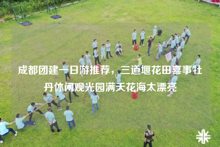 成都团建一日游推荐，三道堰花田喜事牡丹休闲观光园满天花海太漂亮