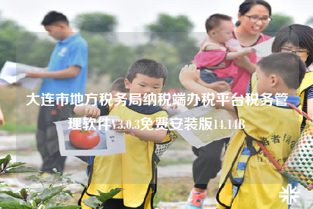 大连市地方税务局纳税端办税平台税务管理软件V3.0.3免费安装版14.14B