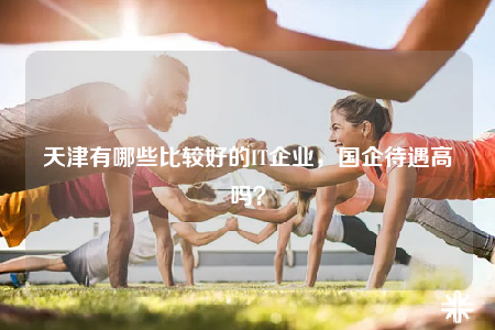天津有哪些比较好的IT企业，国企待遇高吗？