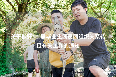 关于做好2020届毕业生团员团组织关系转接有关工作的通知