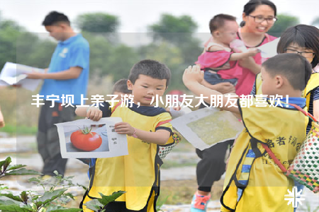 丰宁坝上亲子游，小朋友大朋友都喜欢！