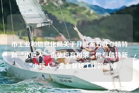 市工业和信息化局关于开展第五批专精特新“小巨人”企业培育和第二批专精特新“小巨人”企业复核工作的通知