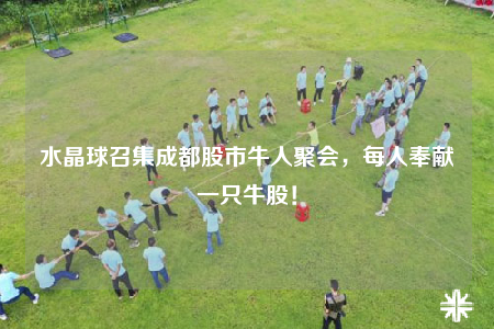 水晶球召集成都股市牛人聚会，每人奉献一只牛股！