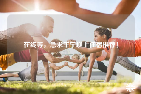在线等，急求丰宁坝上住宿推荐！