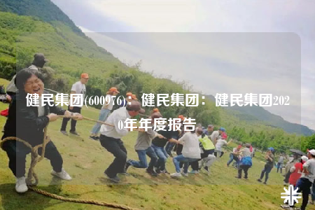 健民集团(600976)：健民集团：健民集团2020年年度报告