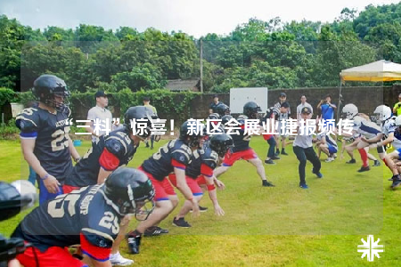 “三料”惊喜！新区会展业捷报频传