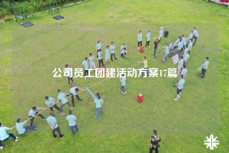 公司员工团建活动方案17篇