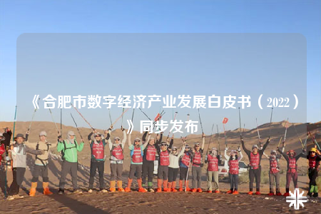 《合肥市数字经济产业发展白皮书（2022）》同步发布