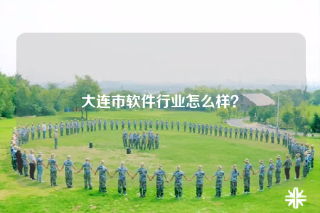 大连市软件行业怎么样？