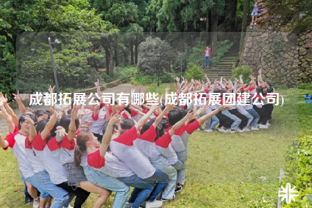 成都拓展公司有哪些(成都拓展团建公司)