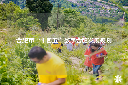 合肥市“十四五”数字合肥发展规划