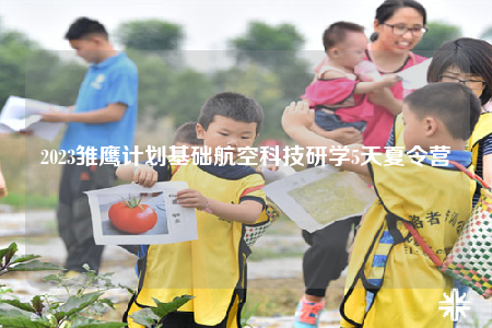 2023雏鹰计划基础航空科技研学5天夏令营
