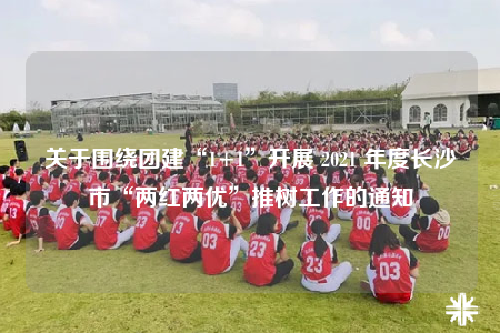 关于围绕团建“1+1”开展 2021 年度长沙市“两红两优”推树工作的通知