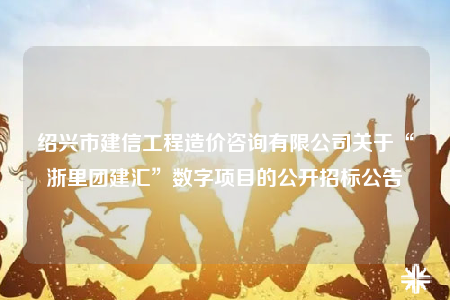 绍兴市建信工程造价咨询有限公司关于“浙里团建汇”数字项目的公开招标公告