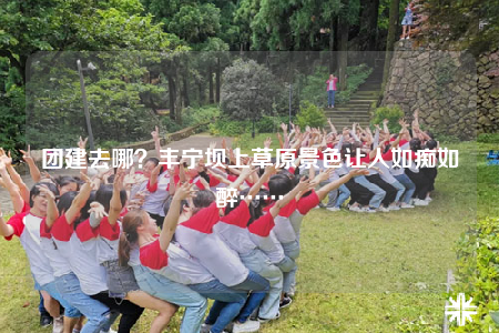团建去哪？丰宁坝上草原景色让人如痴如醉……