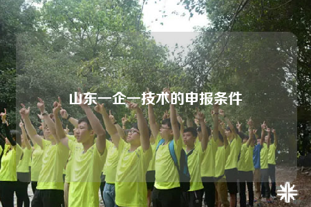 山东一企一技术的申报条件