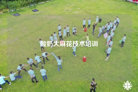 酸奶大麻花技术培训