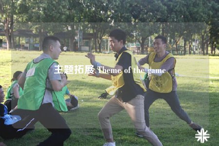 主题拓展 Theme of the game