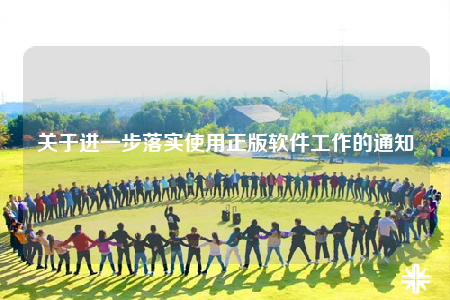 关于进一步落实使用正版软件工作的通知