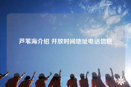 芦苇海介绍 开放时间地址电话信息