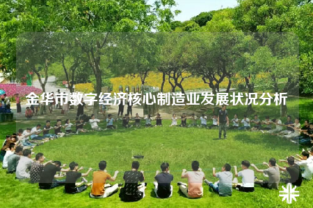 金华市数字经济核心制造业发展状况分析