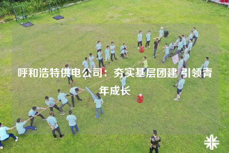 呼和浩特供电公司：夯实基层团建 引领青年成长
