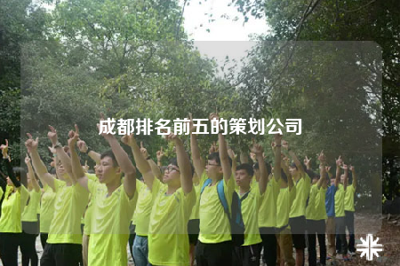 成都排名前五的策划公司