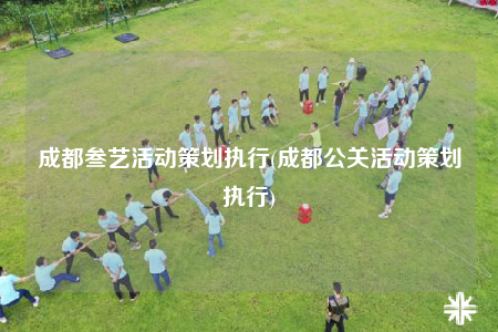 成都叁艺活动策划执行(成都公关活动策划执行)