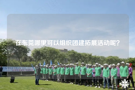 在东莞哪里可以组织团建拓展活动呢？