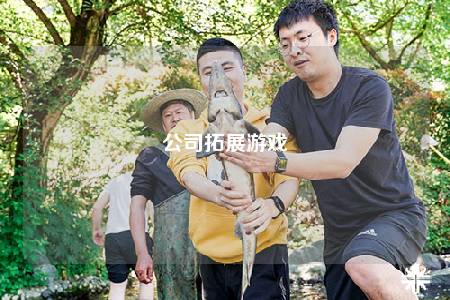 公司拓展游戏