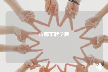 成都东软学院