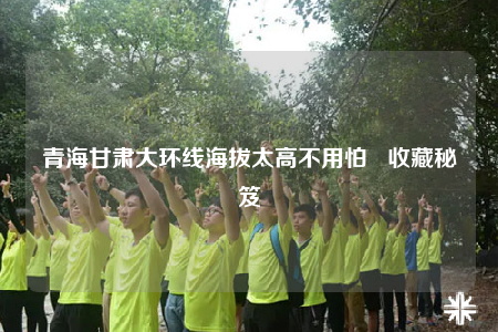 青海甘肃大环线海拔太高不用怕   收藏秘笈