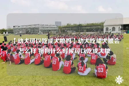 【幼犬可以吃成犬粮吗】幼犬吃成犬粮会怎么样 狗狗什么时候可以吃成犬粮