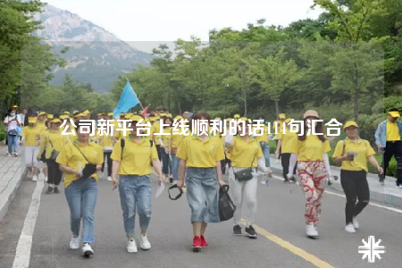 公司新平台上线顺利的话114句汇合