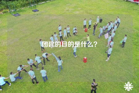 团建的目的是什么？