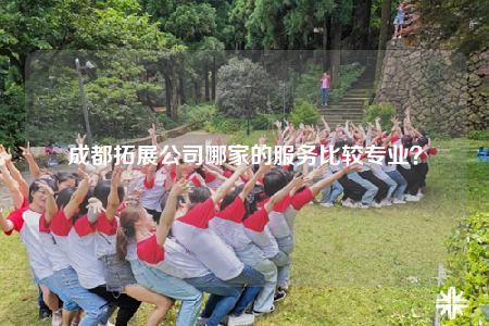 成都拓展公司哪家的服务比较专业？