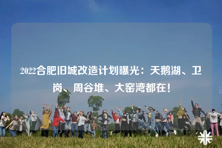 2022合肥旧城改造计划曝光：天鹅湖、卫岗、周谷堆、大窑湾都在！