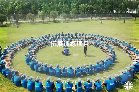 拓展训练项目