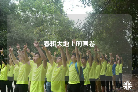 春耕大地上的画卷