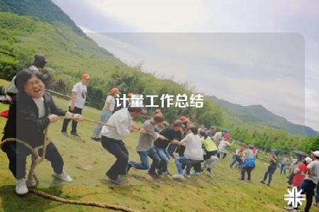 计量工作总结