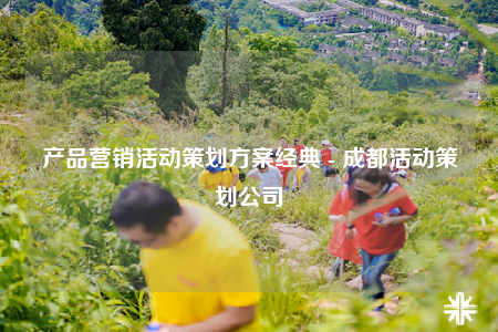 产品营销活动策划方案经典 - 成都活动策划公司